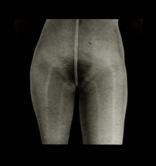 Eliane Excoffier- kiev V II 2008.