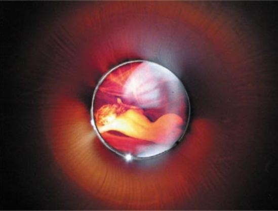 the polaroid of carlo mollino is presented inside the metal tube for the expossition Mollino fragments, Triennale de Milan, 2005