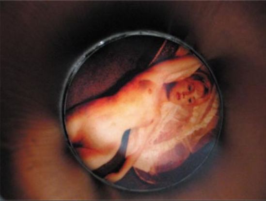 the polaroid of carlo mollino is presented inside the metal tube for the expossition Mollino fragments, Triennale de Milan, 2005