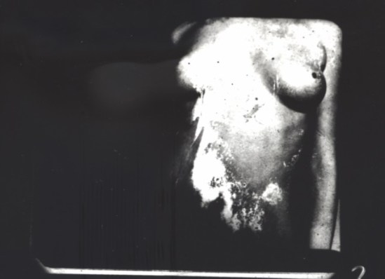 Wendy Beatty - Metonymy  # 5