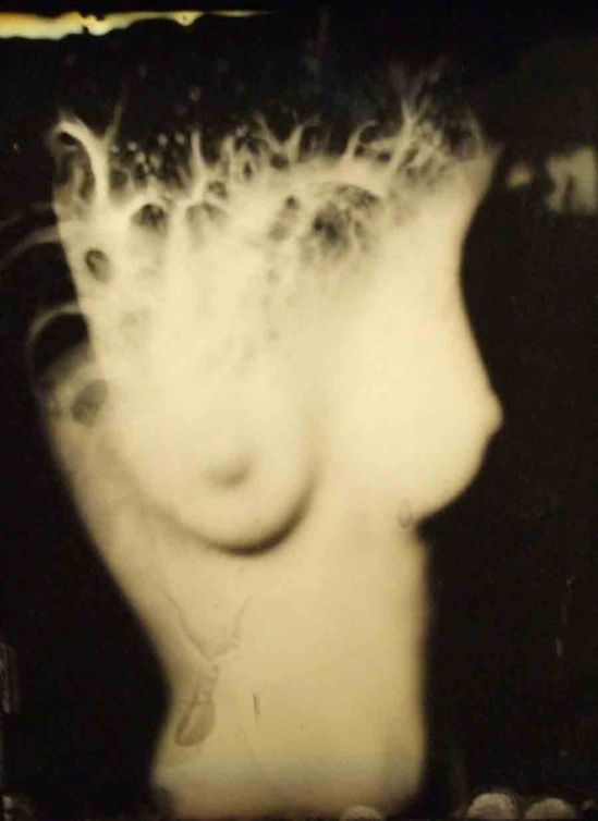 Bart Dorsa. Deep Inside My Dollhouse 2009