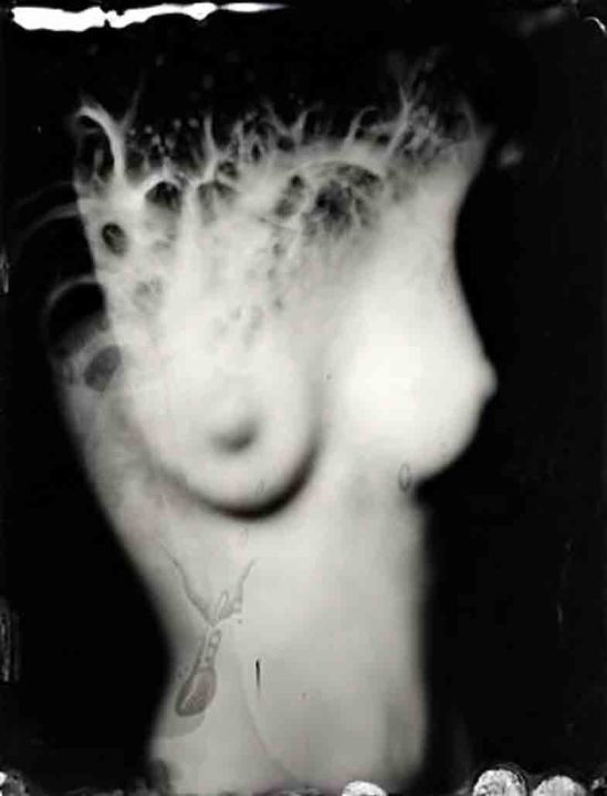 Bart Dorsa- Incendia, #12, 2009