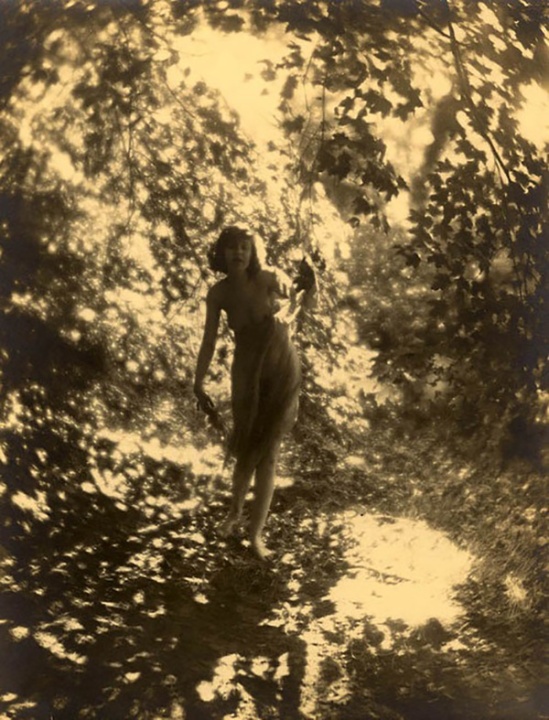 Charles J. Cook - Female Nude In Forest, 1928