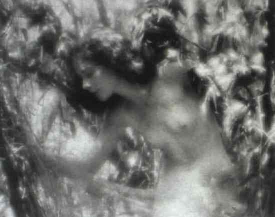 Charles J Cook -Female nude in landscapes , 1930