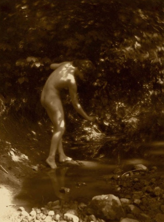 Charles J. Cook - Female Nudes In Forest 1920 