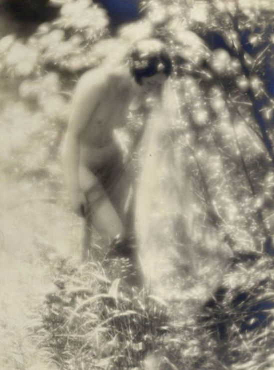 Charles J. Cook- Female Nude In Forest, 1927