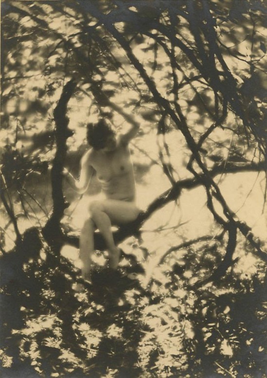 Charles J. Cook - Female Nudes In Forest , 1927