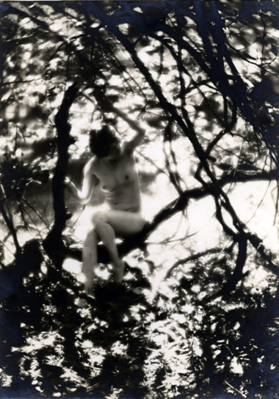 Charles J. Cook - Female Nudes In Forest, 1927