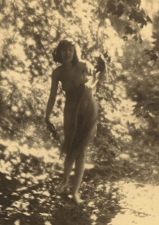 Charles J. Cook - Female Nudes In Forest ,1928