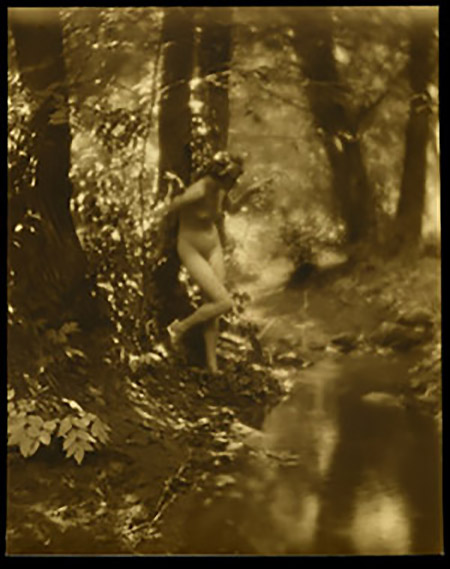 Charles J. Cook - Female Nudes In Forest 1920