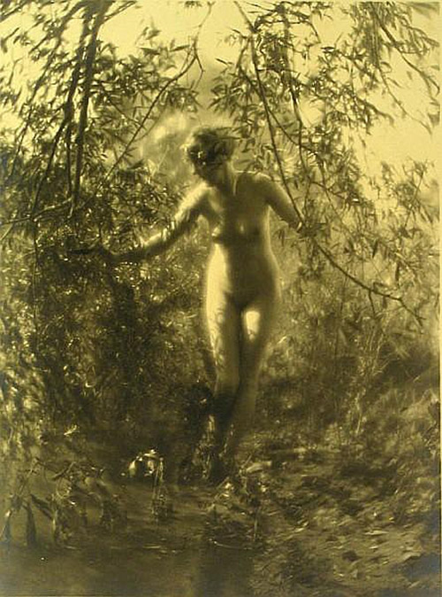 Charles J. Cook - Female Nudes In Forest SettingsOriginal 1920