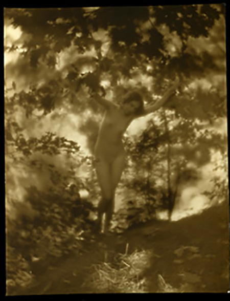 Charles J. Cook - Female Nudes In Forest, 1920