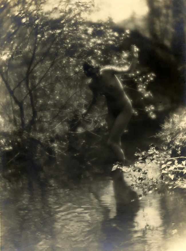 Charles J Cook - Untitled , 1928