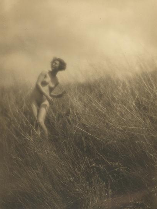 Charles J. Cook- Nude, 1910 sepia tone