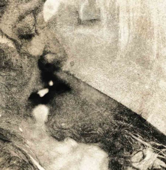 Christoper Lee Donovan -  [Fun] Sexuality, 2011