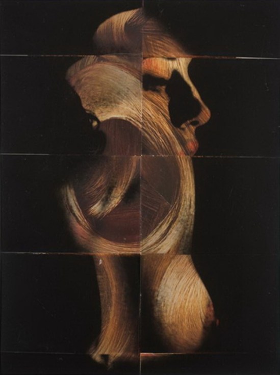 Robert Heinecken - Figure Parts Hair 1967