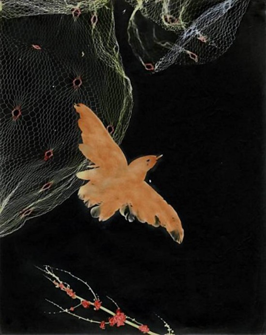 Josef Breitenbach- Bird, Photogram, hand colored gelatin silver print, 1948 © The Josef Breitenbach Trust