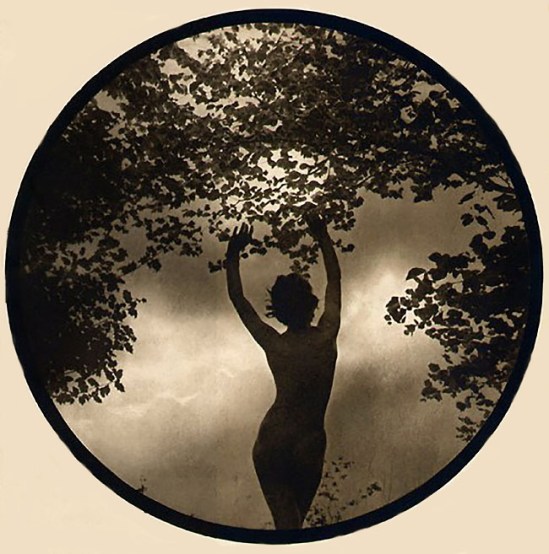 Walter Bird - Reach for the Heavens, 1938