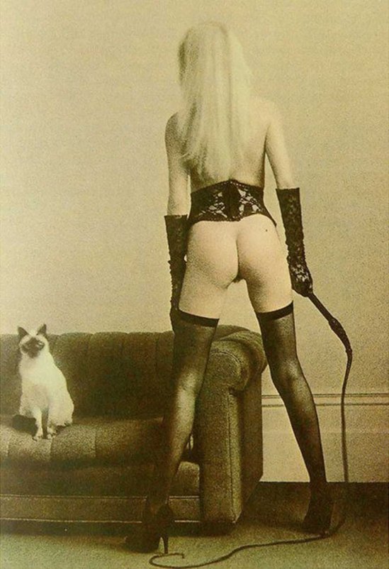 Bob Carlos Clarke - The Illustrated Delta of Venus #19, 1980