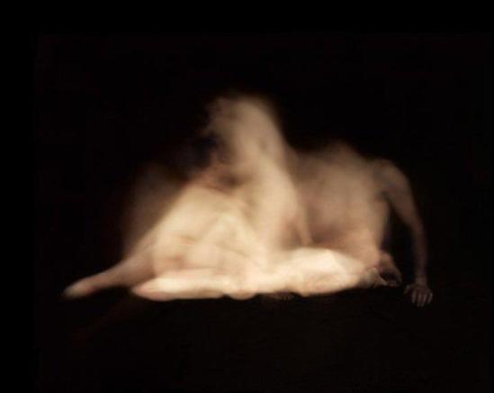 © Frédéric Delangle- Série Coït, 2008