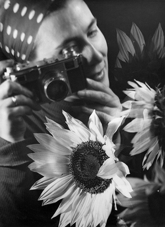 Edmund Kesting - Gerda Kesting Photographing Sunflowers (negative montage). 1930s