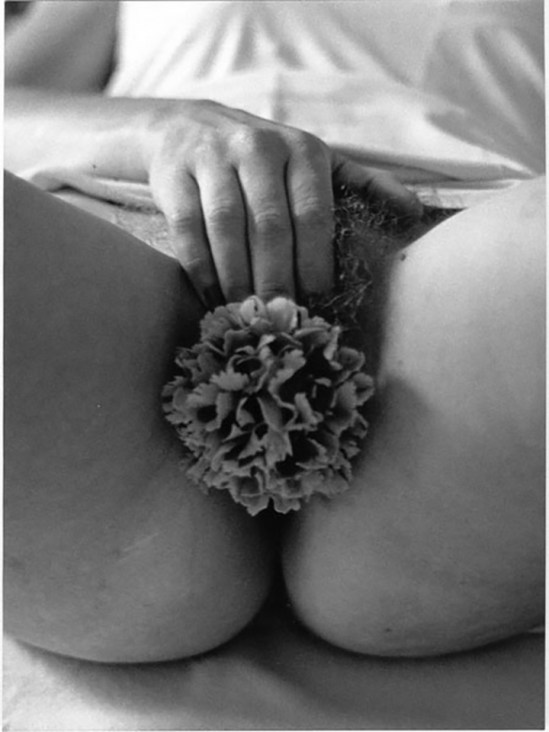 Marcel Mariën-La pudeur, 1984