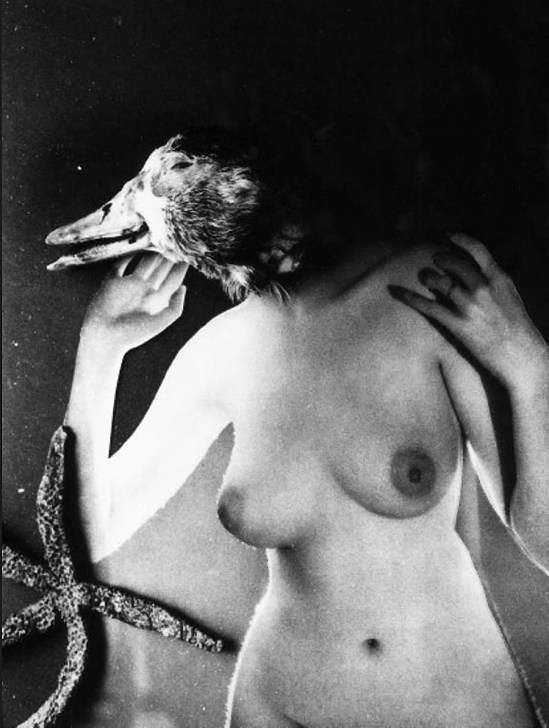 Wally Elenbaas -naakt surrealistische met het hoofd van de eend  1939-40 