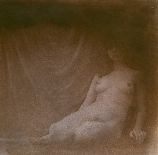 Hal Hirshorn- nude, 2011