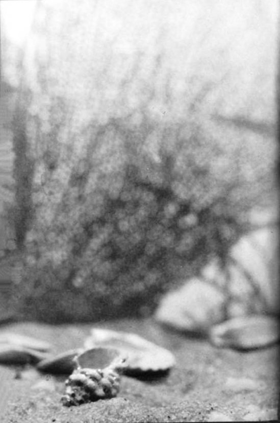 Nell Dorr- from In a Blue Moon, Nell Dorr 1939 