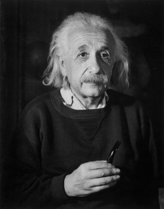 Trude Fleischmann - Albert Einstein, New Jersey 1954.