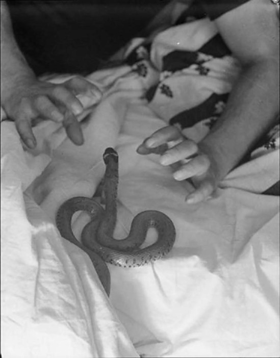 Roger Parry- Un serpent dans des draps et deux mains crispées, 1933