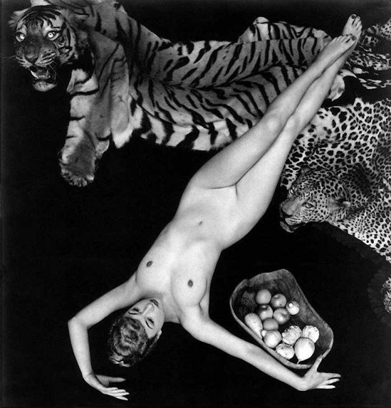 Zoltán Verre Femme étude de nu ,, 1953 (Pamela Vert)