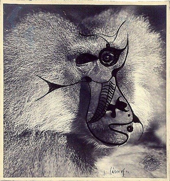 Jorge Caceres - Portrait (Dessin à l'encre sur photographie) 1942 ( André Breton& & mandragora)