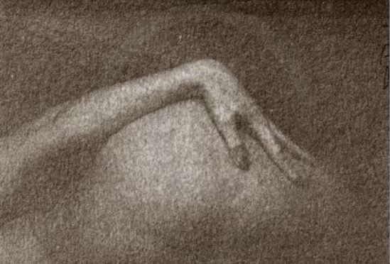 Richard d'Amore- from Nudes series, nd 