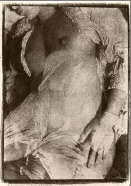 Richard d'Amore- from Nudes series, nd 