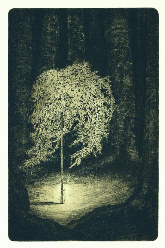 František Drtikol- Untitled ( Tree of live) etching, 1910-20
