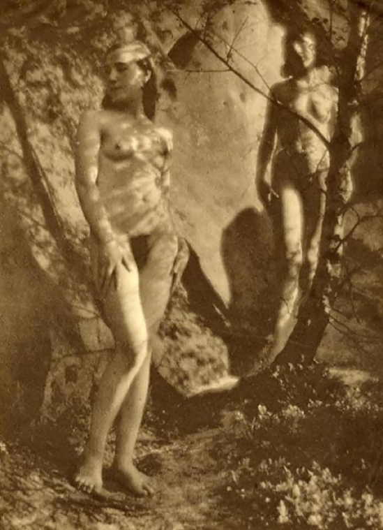 Franz Fiedler -Nu dans la forêt, 1930 