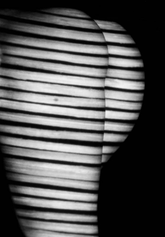 Peter Stenzel- Nu zébré (hommage à lucien clergue),2009 