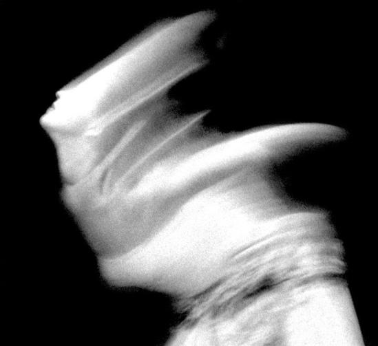 © Paul Himmel-Illuminations (A)