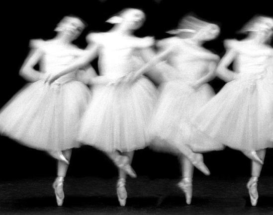 Paul Himmel- Swan Laked -1951-52