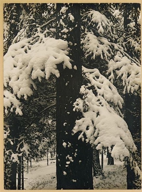 Aenne Biermann- winter, 1931