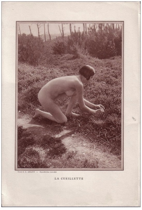 Etude G. L Arlaud - La Cueillette, 1930