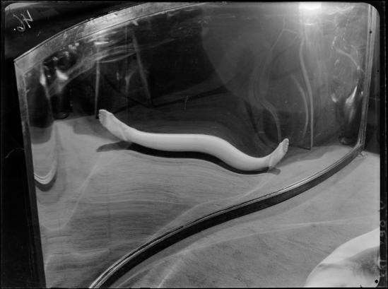 André Kertész -  Distortion #  46, 1933