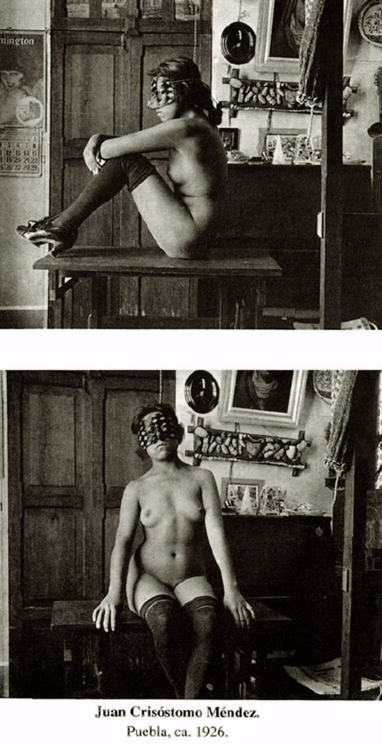 Juan Crisóstomo Méndez Ávalos, 2 plantes from serie nude in  Puebla, 1926 