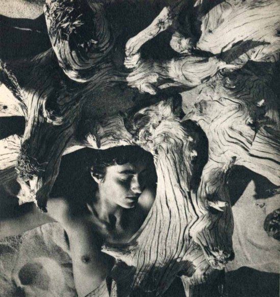 Herbert Matter – Driftwood II, Mercedes Matter ,1940
