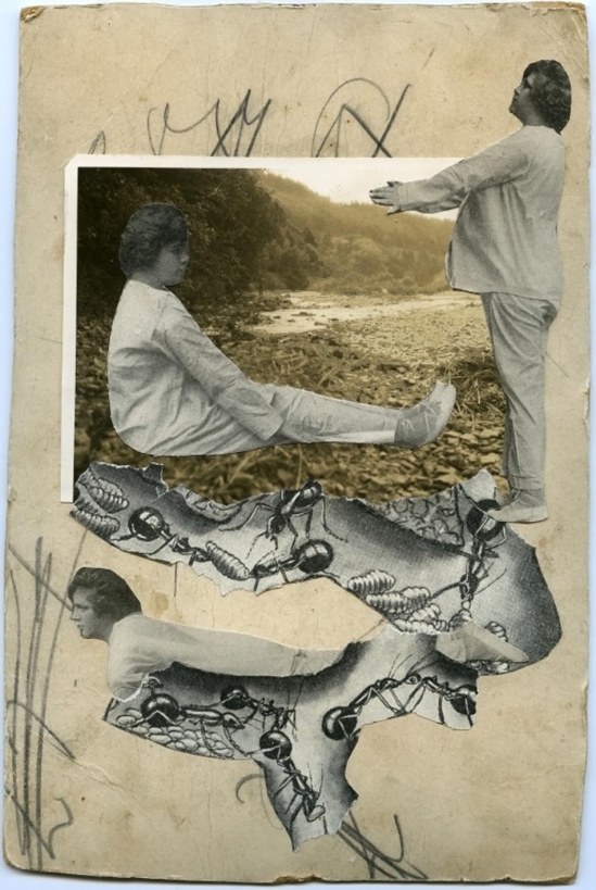 Adriana Muller (Crafty Dogma) untitled3, 2012