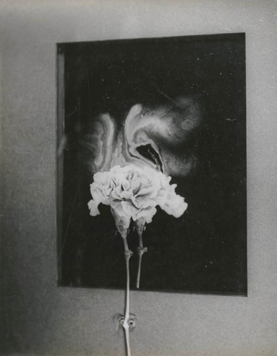 Josef Breitenbach-Carnation and Fragrance, 1940s  ,gelatin silver print, 1948 © The Josef Breitenbach Trust.